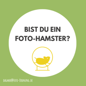 Fotos organisieren, digitale Hamster, Fotos im Hamsterrad